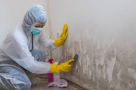 Best Asbestos and Lead Testing During Mold Inspection  in Greenacres, CA